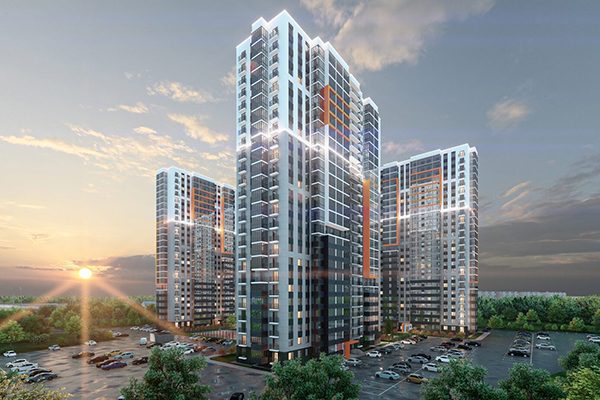 Члены команды