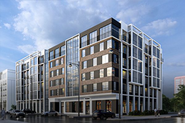 Члены команды